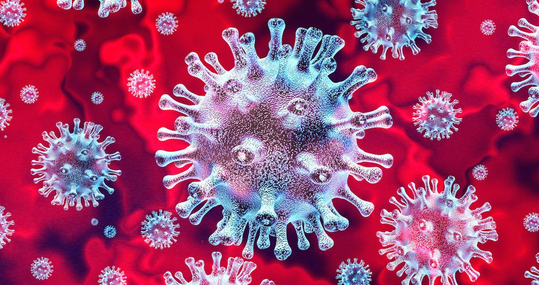 Latest COVID-19 Update