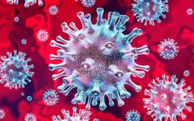 Latest COVID-19 Update